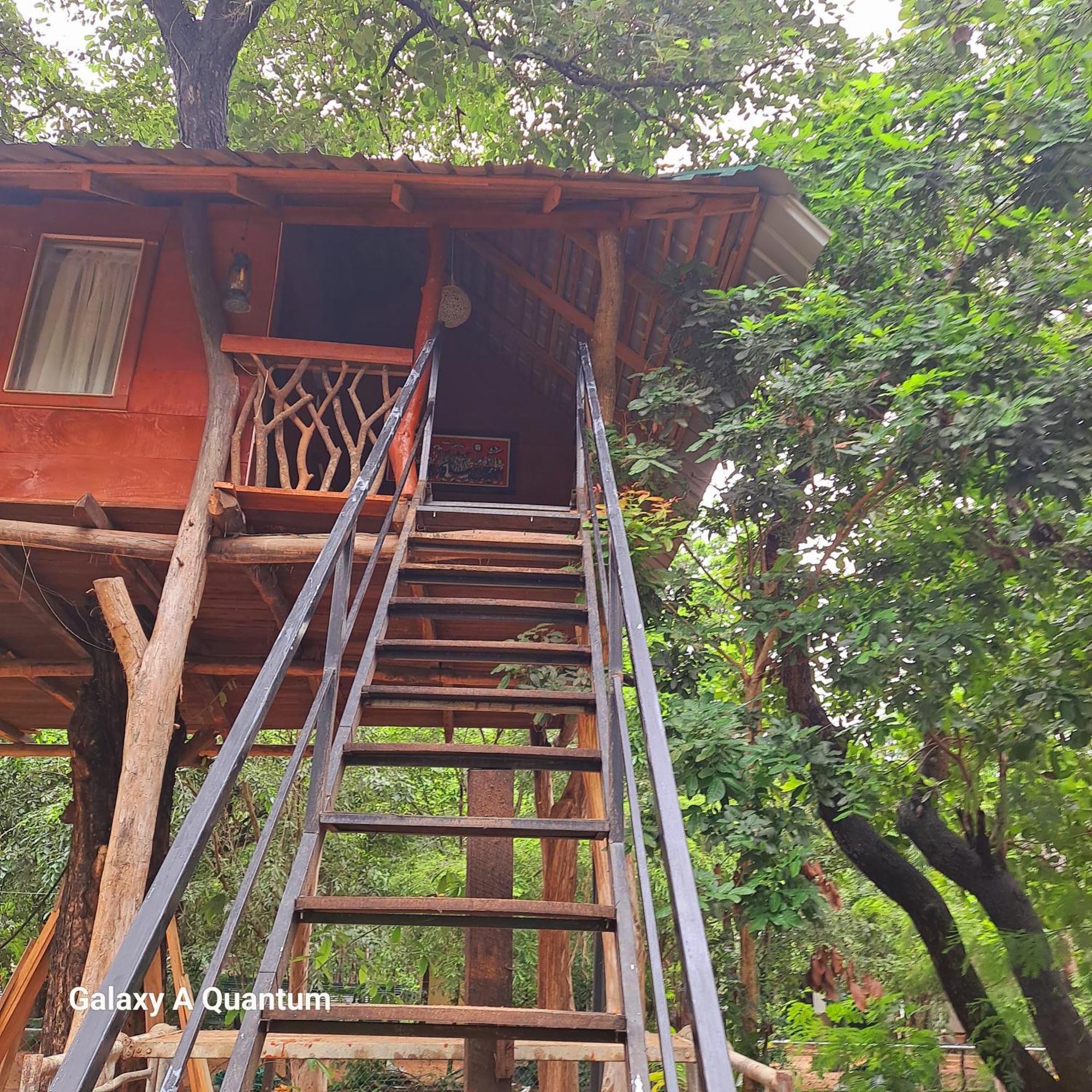 Green Leaf Tree House Dambulla Eksteriør billede