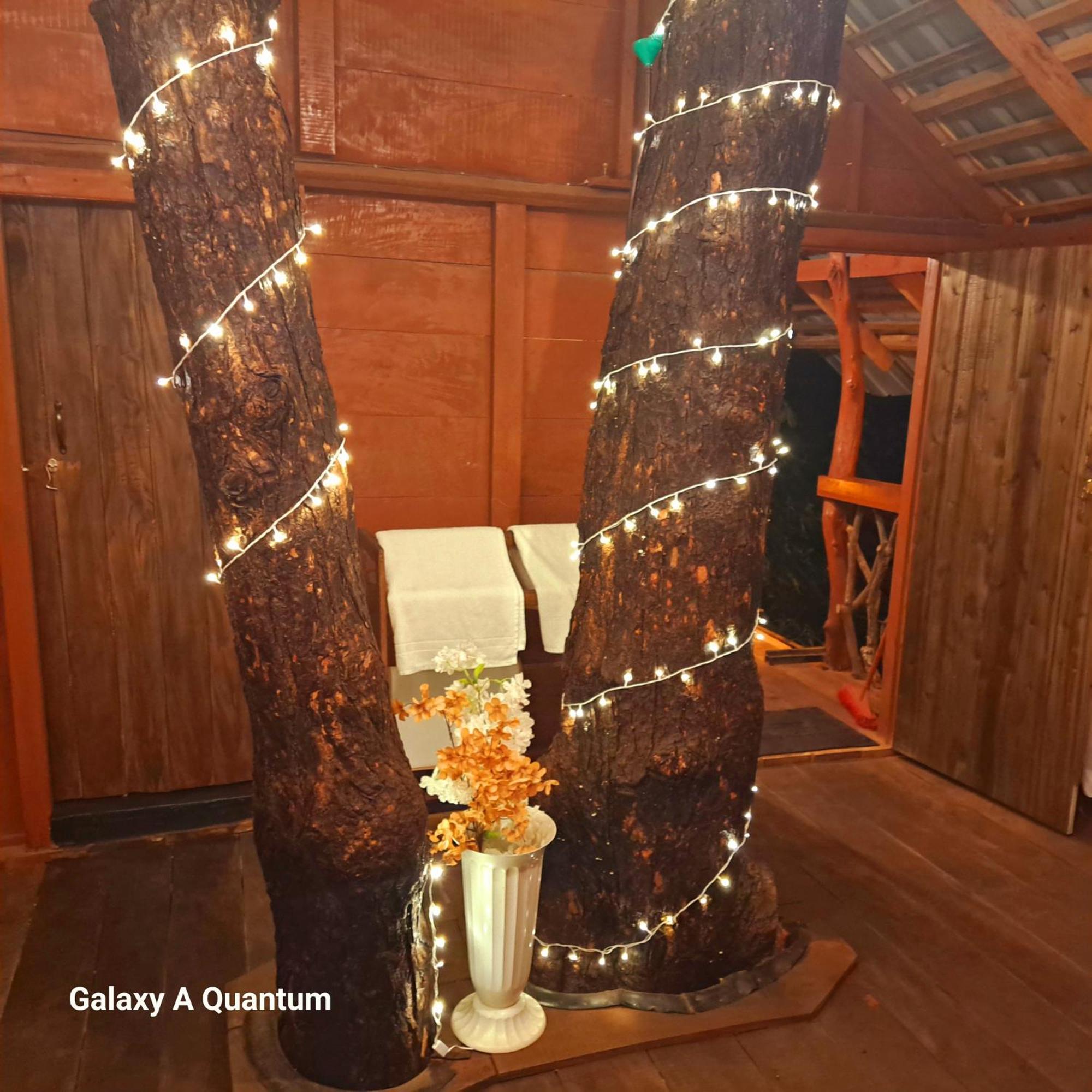Green Leaf Tree House Dambulla Eksteriør billede